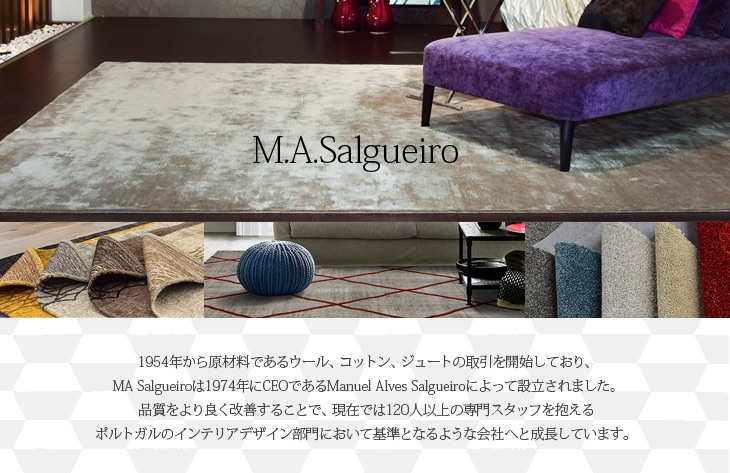 M.A.Salgueiro